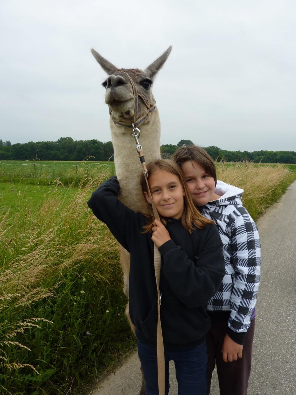 Lamawanderung 2010
