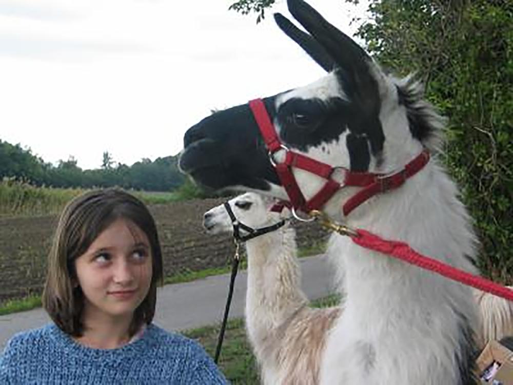 Lamawanderung 2003 - Foto Albina
